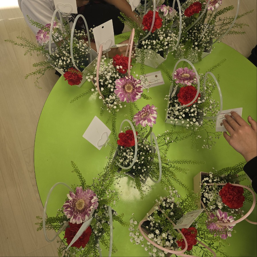 카네이션 꽃 화분 카네이션 포장